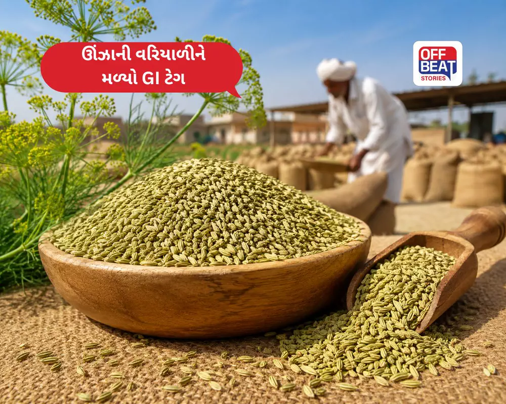 ખેડૂતો માટે ખુશખબર!