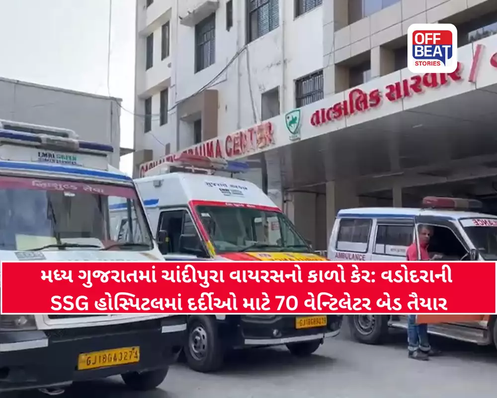 મધ્ય ગુજરાતમાં ચાંદીપુરા વાયરસનો કાળો કહેર