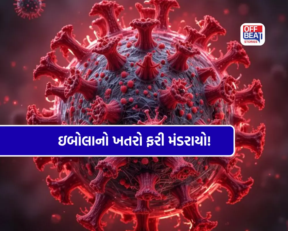 જીવલેણ ઇબોલા વાયરસે મચાવ્યો હાહાકાર!