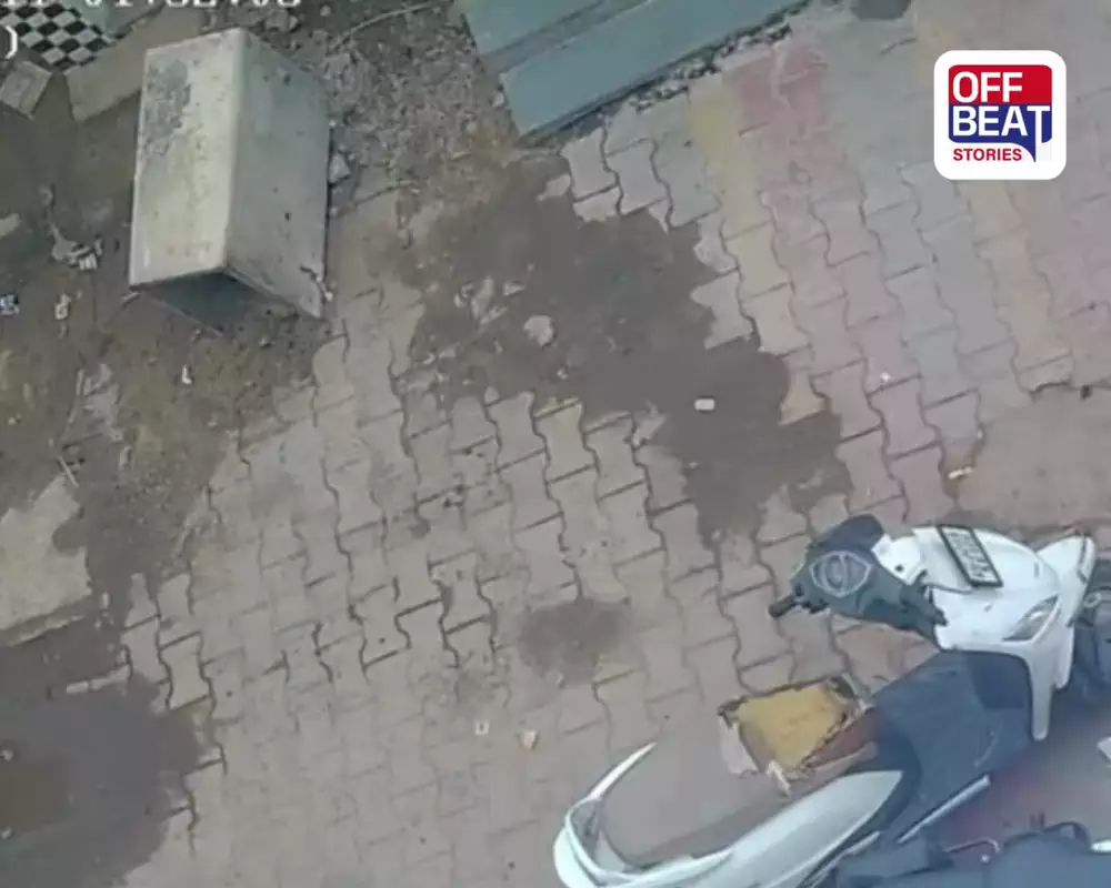 ડીસાના સોની બજારમાં રખડતી ગાયનો આતંક