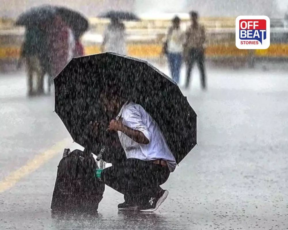 ગુજરાત સહિત દેશના 14 રાજ્યોમાં ભારે વરસાદનું એલર્ટ