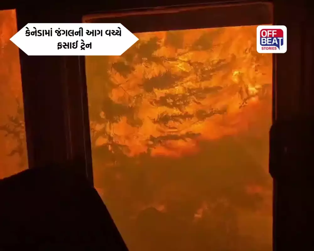 કેનેડાના જંગલમાં ભીષણ આગનો તાંડવ!