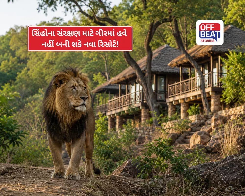 Gir Resort Ban