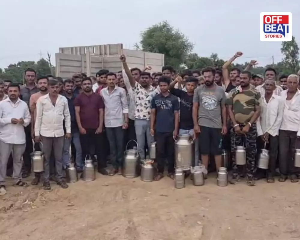 દૂધ ઢોળ્યું નહીં... લોકોને ફ્રીમાં આપ્યું