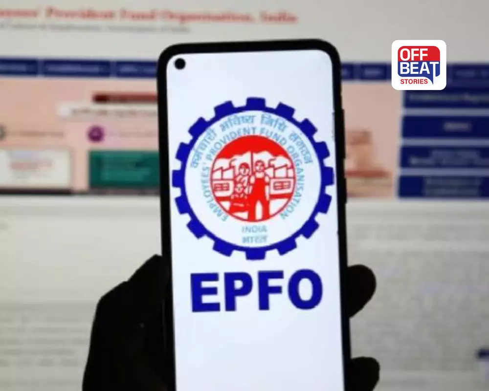 PF Balance Not Credited