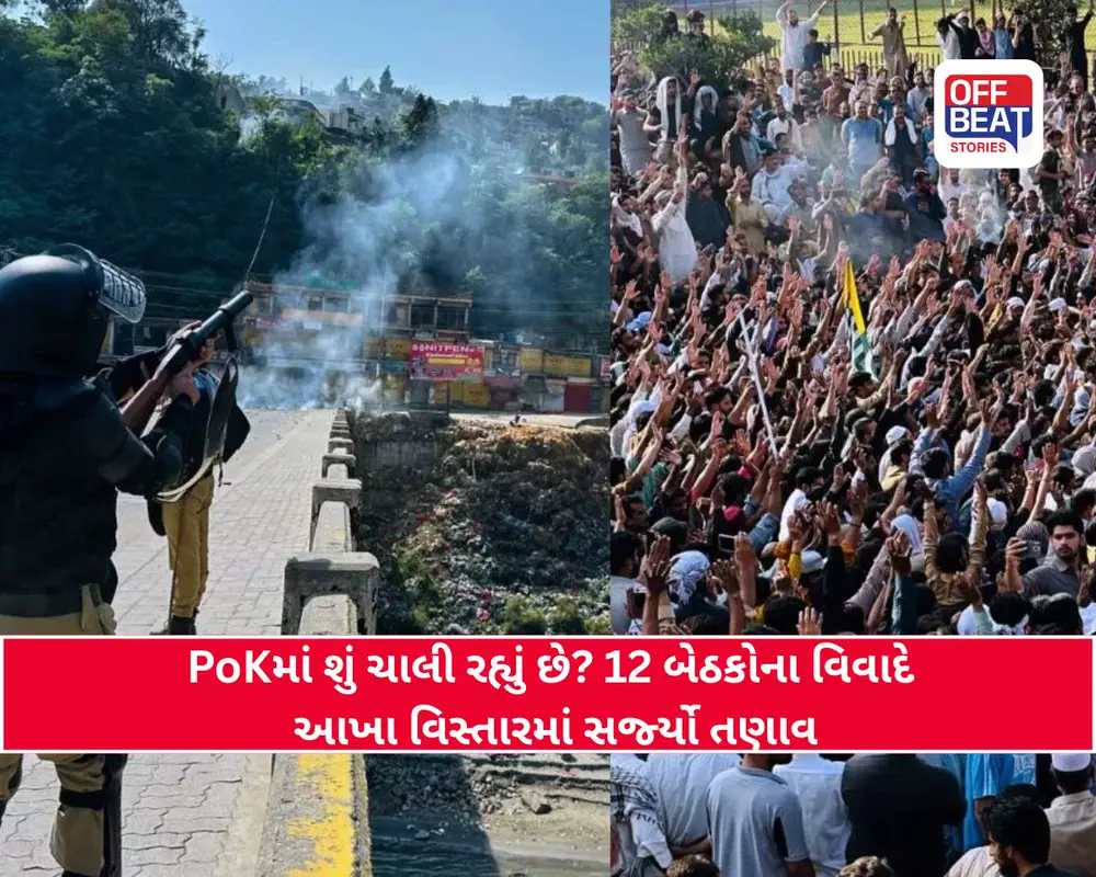PoK Protest