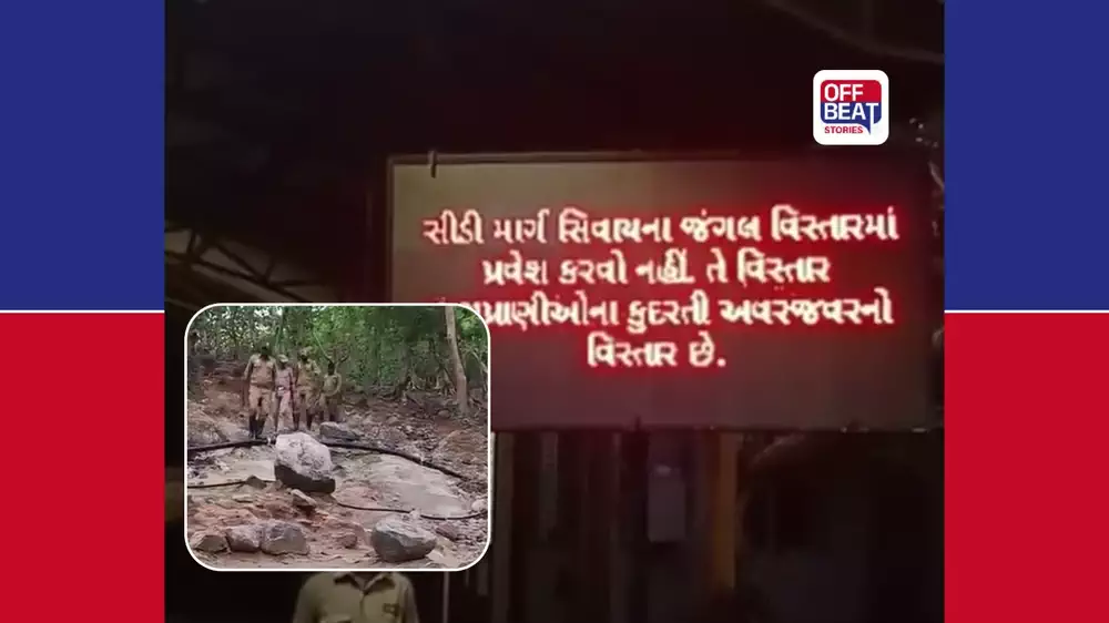 Gujarat Forest