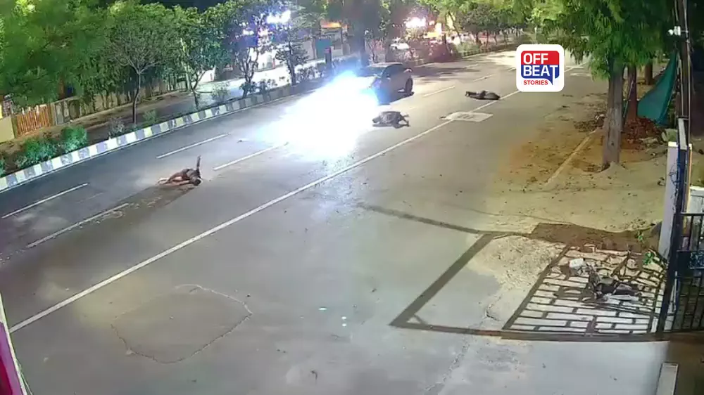 વડોદરામાં રક્ષિત કાંડ જેવો ભયાનક અકસ્માત