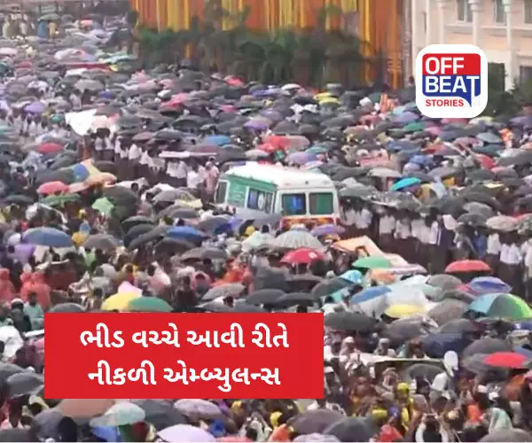 Puri Rath Yatra, Jagannath Rath Yatra