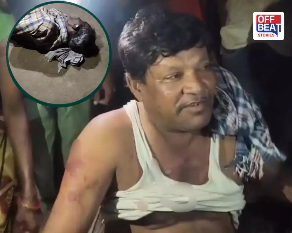 વડોદરામાં દીપડાનો આતંક