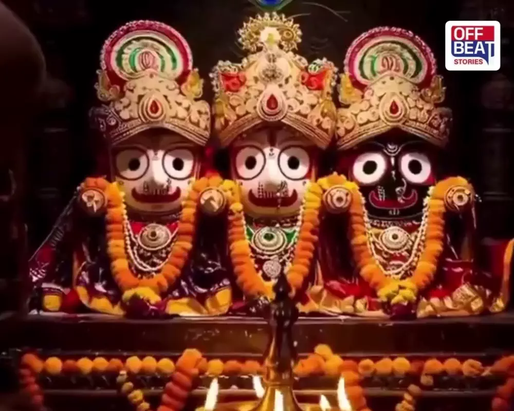 આ ભક્તની મજાર પાસે કેમ રોકાય છે ભગવાન જગન્નાથનો રથ?