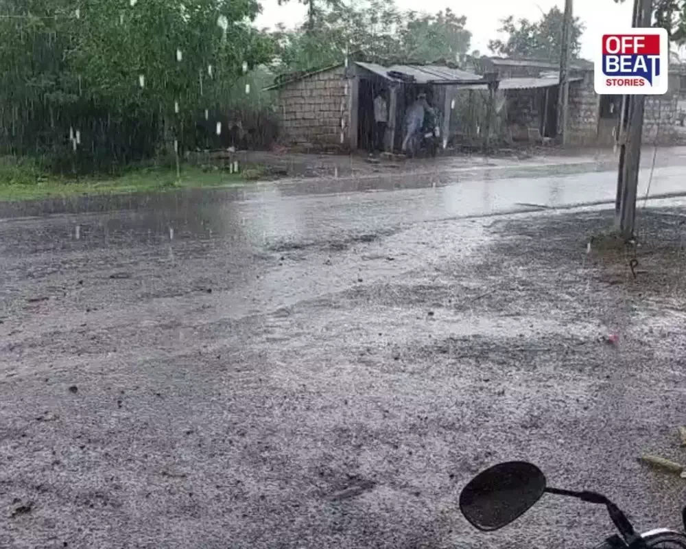 વરસાદના દ્રશ્યો