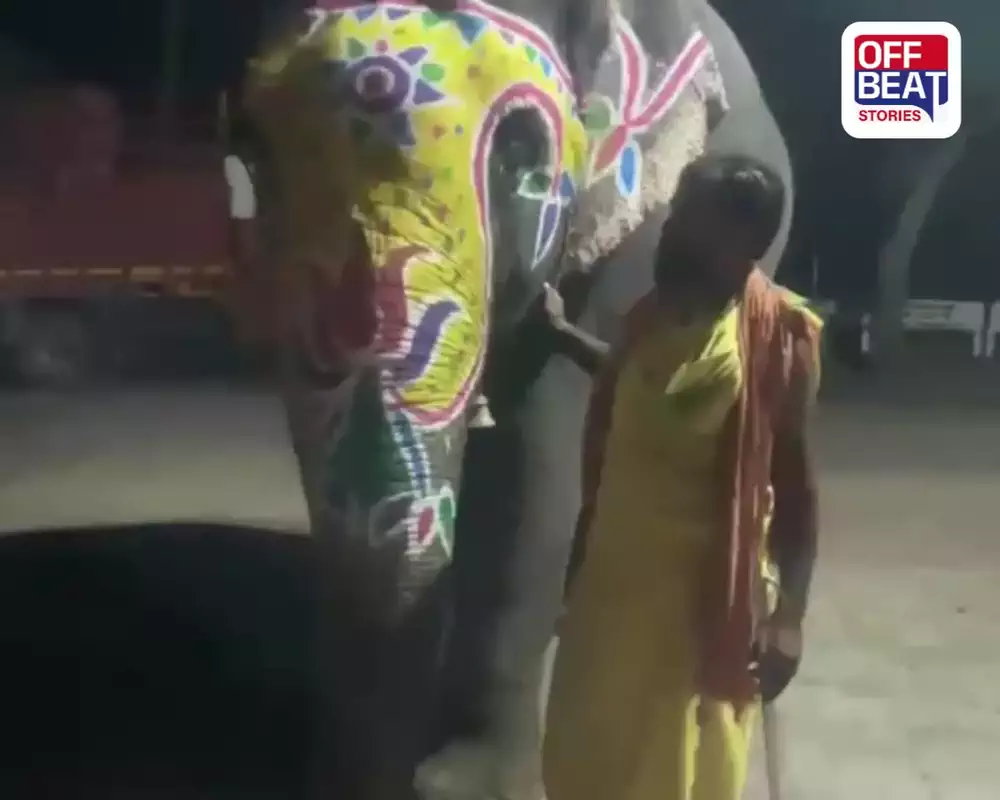 દાહોદના લીમડીમાં રથયાત્રા પહેલાં ગજરાજ 'લક્ષ્મી'નું મોત