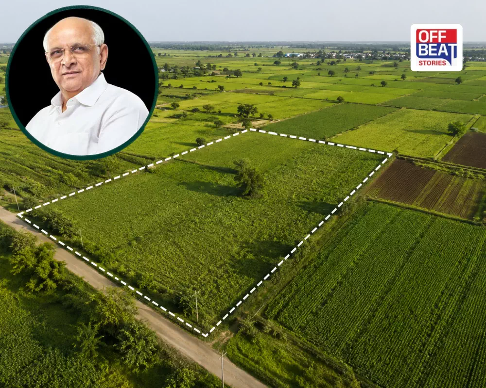 ગુજરાતમાં જમીનના નિયમોમાં ઐતિહાસિક ફેરફાર