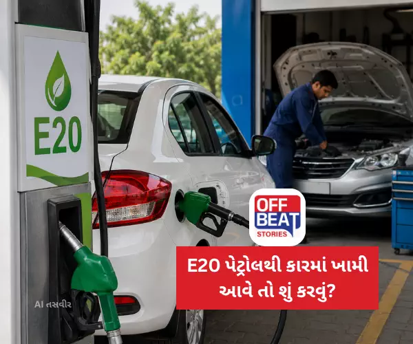 E20 પેટ્રોલથી કારમાં ખામી આવે તો શું કરવું?