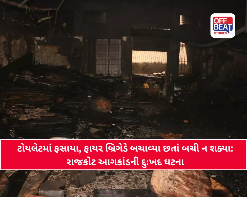 રાજકોટમાં સોફાના કારખાનામાં ભીષણ આગ