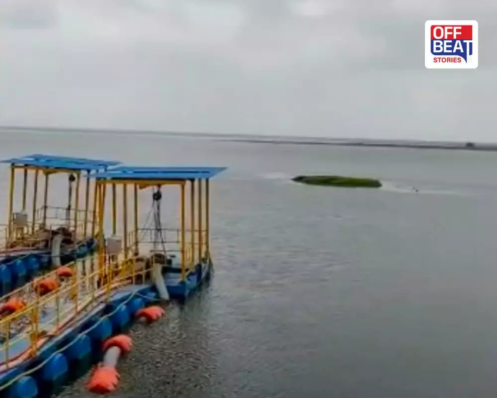 ચોમાસા વચ્ચે જ વડોદરામાં જળ કટોકટીના એંધાણ