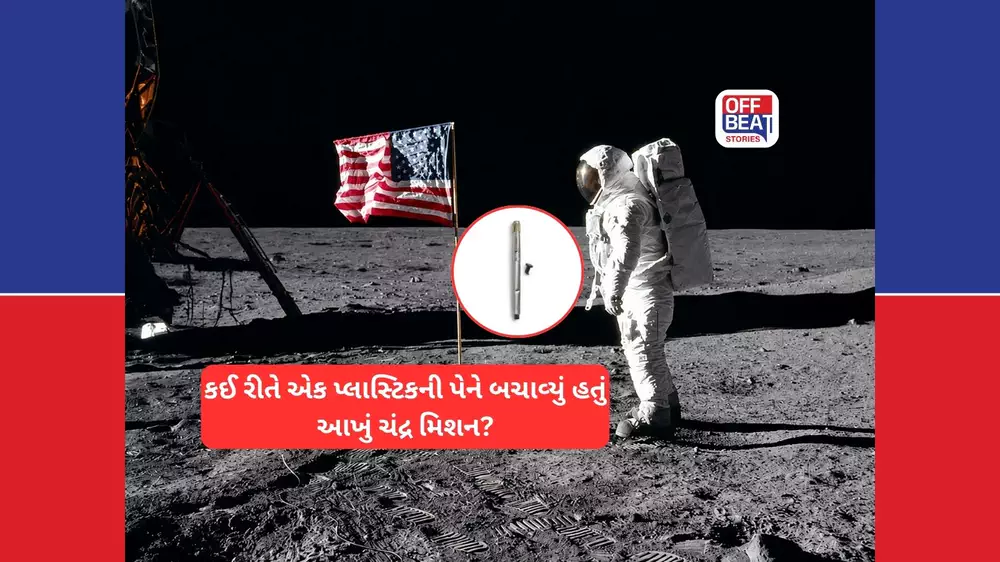 $857,600માં વેચાઇ ચંદ્ર પર જીવ બચાવનાર સામાન્ય પ્લાસ્ટિક પેન