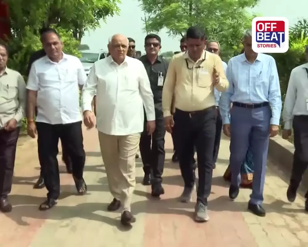 જમીનનું સ્વાસ્થ્ય બચાવવું હોય તો પ્રાકૃતિક ખેતી અપનાવો