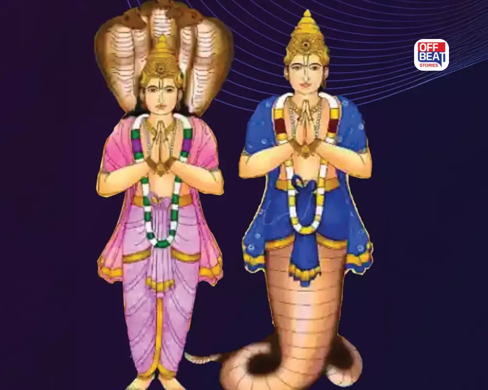 ડિસેમ્બર પહેલાં રાહુ-કેતુ આપશે શુભ ફળ!