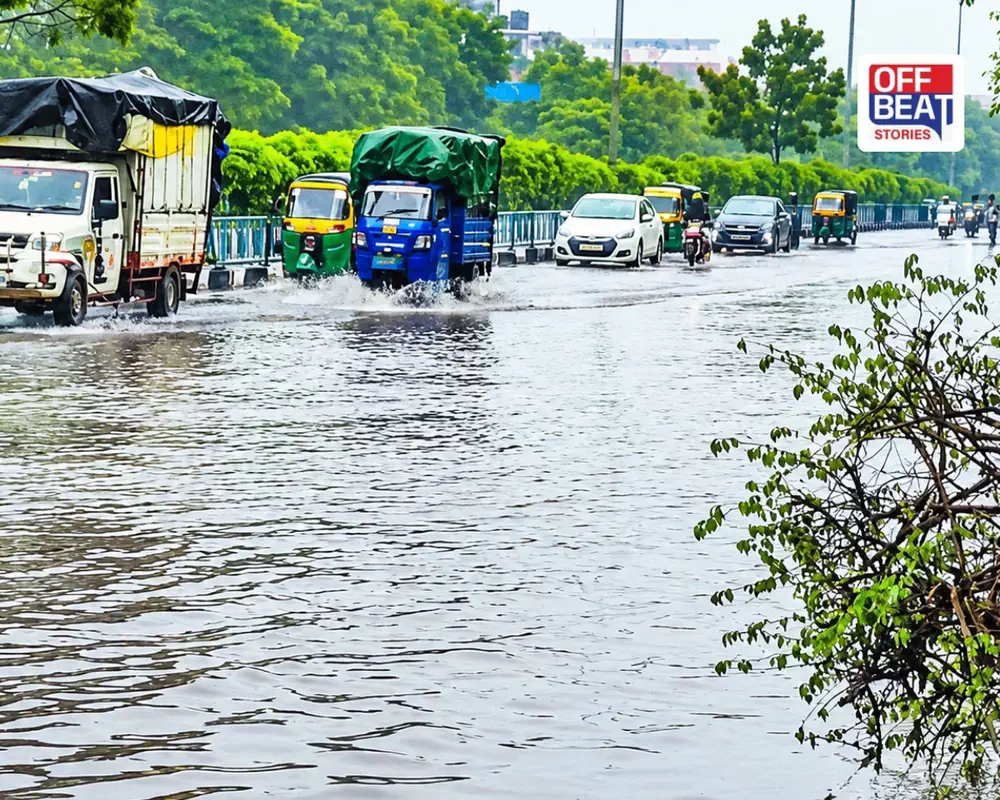 વરસાદી પાણી ભરાયા હોય તેવી છબી