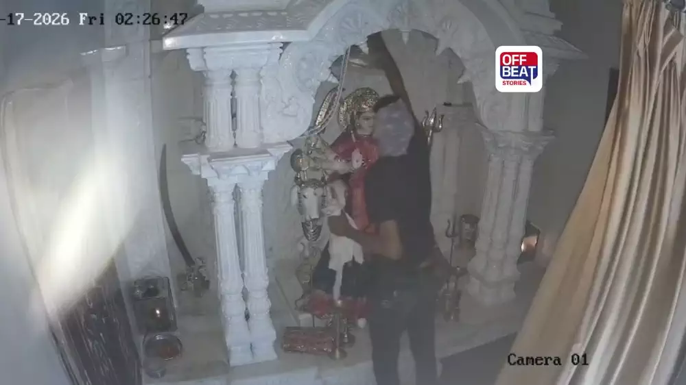 ચોરીના CCTV