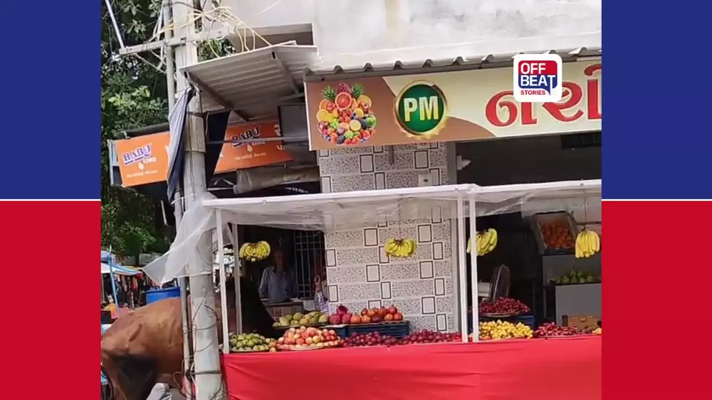અખલા બઝતા હોય તેવા દ્રશ્યો