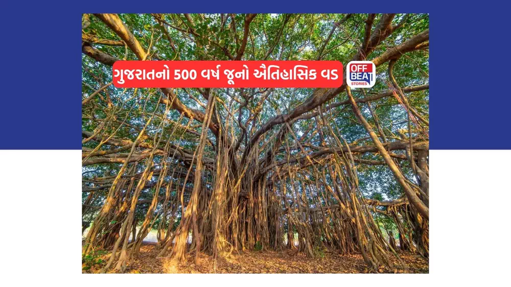 Kantharpura Banyan Tree