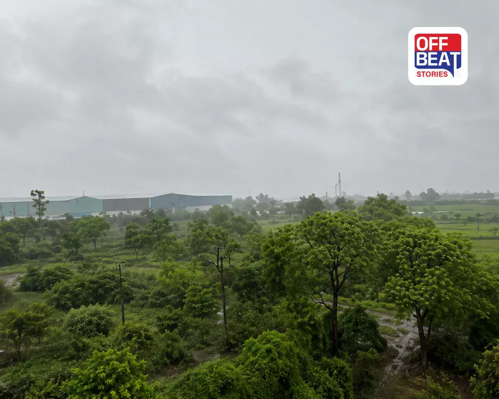 ખેડા જિલ્લાના ગ્રામ્ય વિસ્તારમાં વરસાદ બાદ વાવણીની તૈયારી કરતા ખેડૂતો