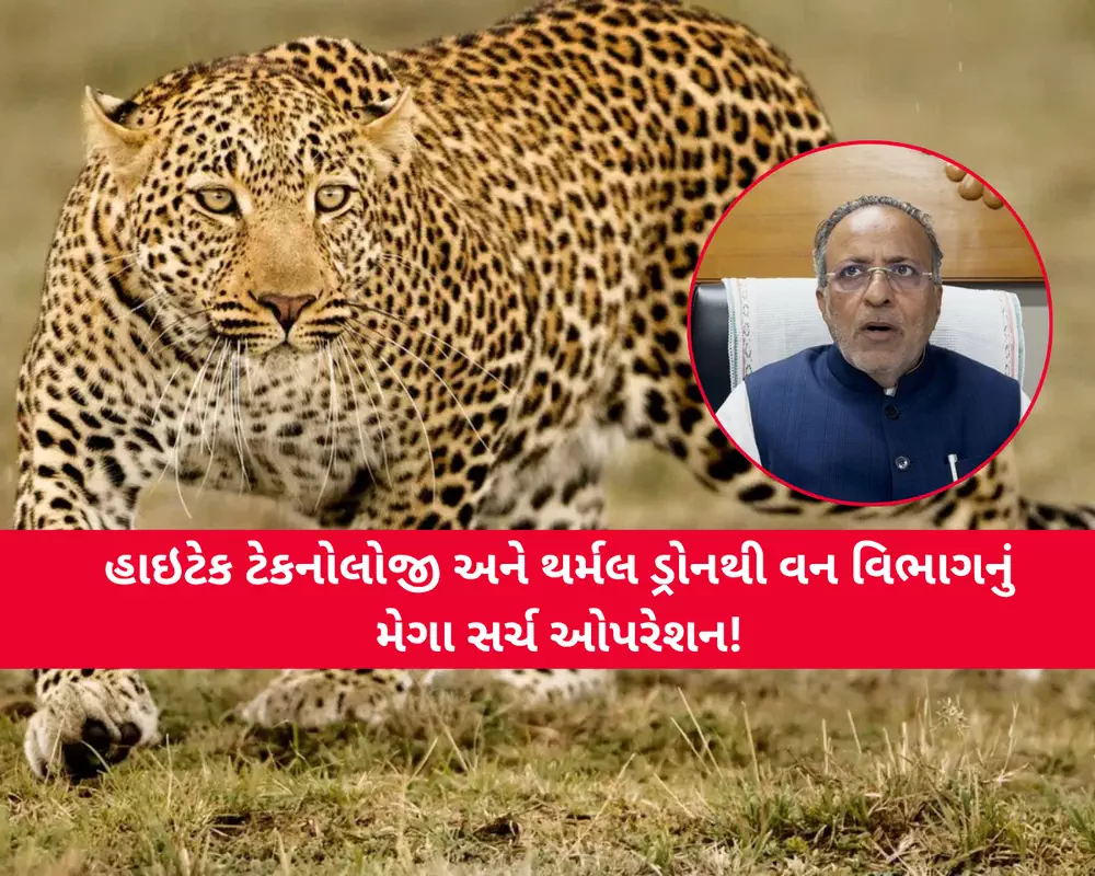 "ચિંતાની કોઈ વાત નથી, સર્ચ ઓપરેશન ચાલુ"