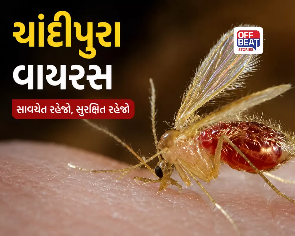 ઊનાથી પંચમહાલ અને જામનગર સુધી ચાંદીપુરાનો ખતરો