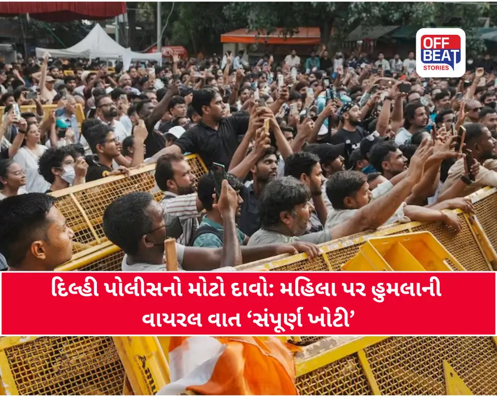 'મહિલાના વાળ ખેંચવા અને બાળકી પર બળપ્રયોગની વાત અફવા'