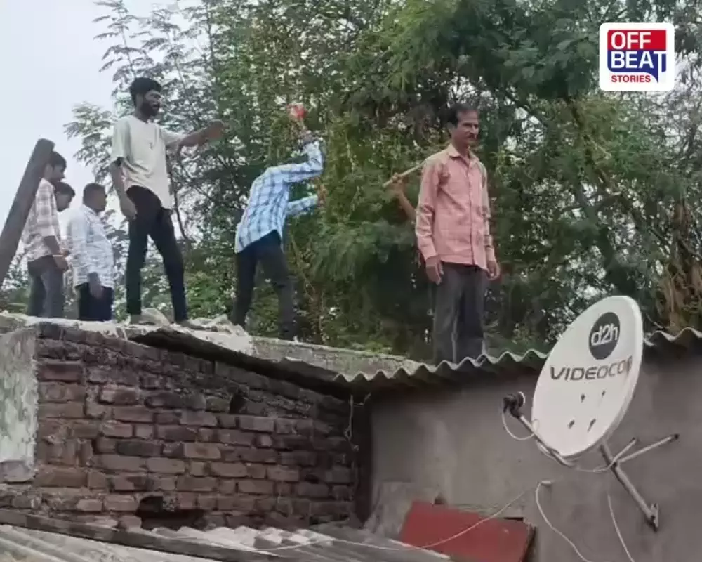 ડિમોલિશનની કામગીરીની છબી