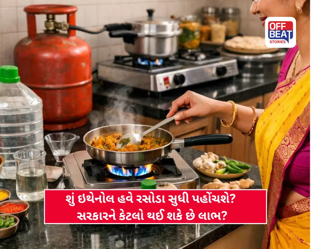 કારમાં E20 પછી ઘરના રસોડામાં LPG સિલિન્ડરની પણ જગ્યા લેશે ઇથેનોલ?