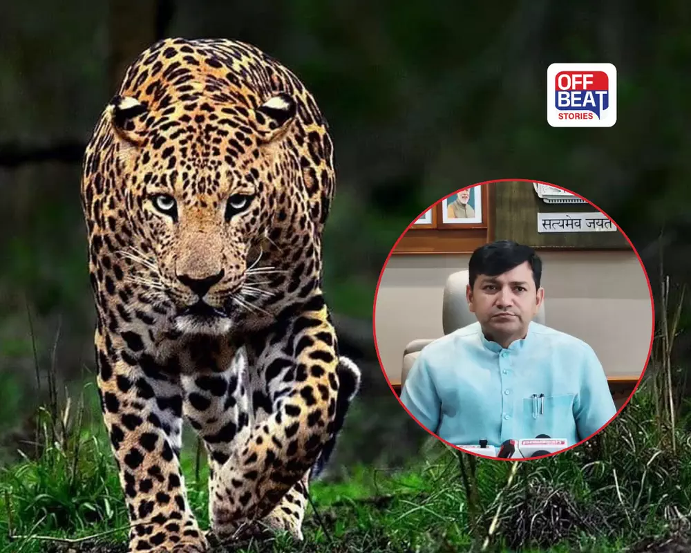 Leopard Alert