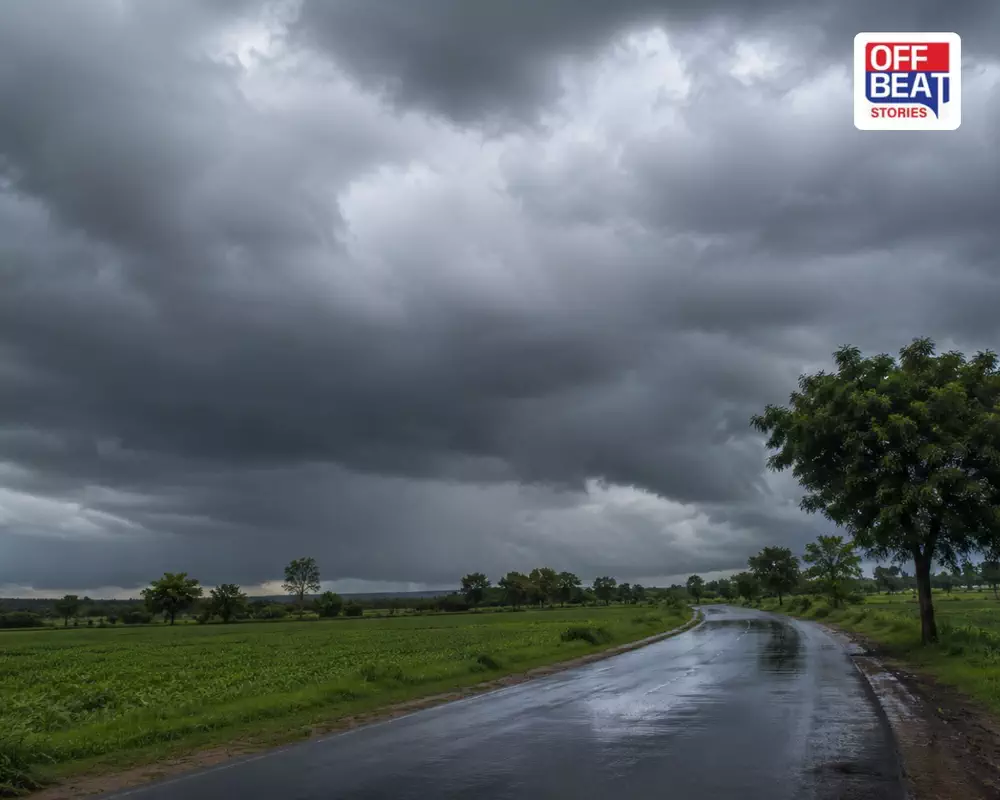 વરસાદી માહોલની છબી