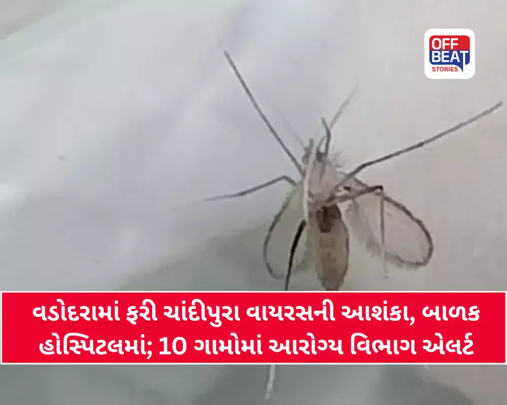 વડોદરાના ચારણપુરામાં નોંધાયો ચાંદીપુરા વાયરસનો શંકાસ્પદ કેસ