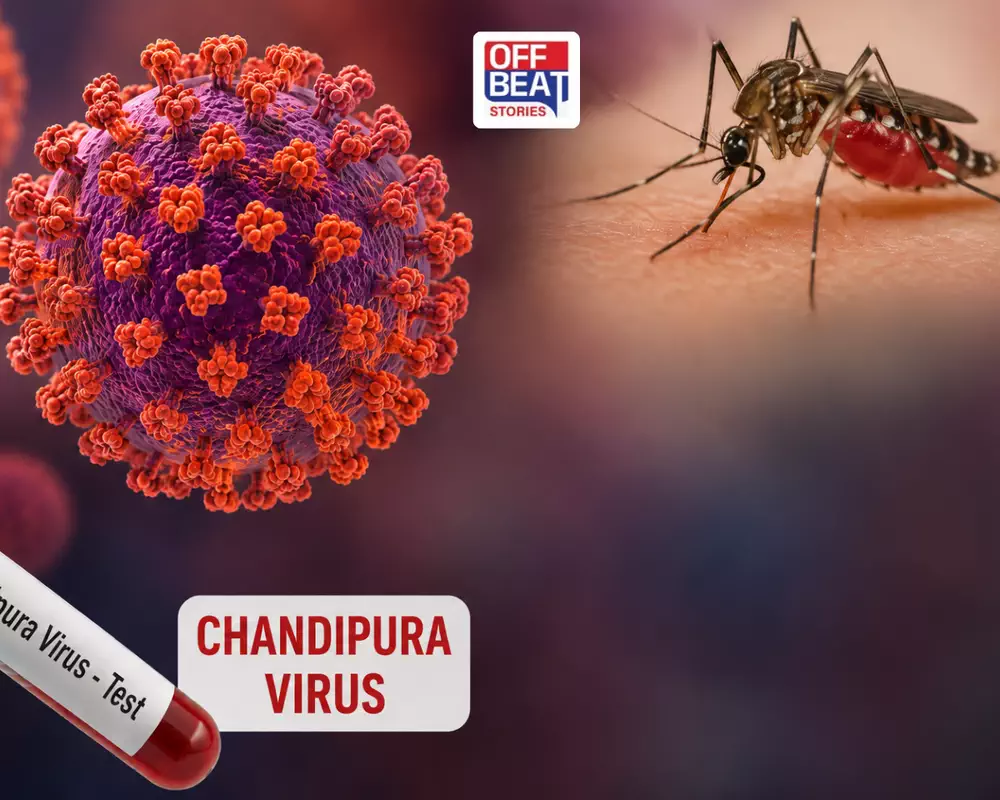 ભાવનગરમાં ચાંદીપુરાની દહેશત