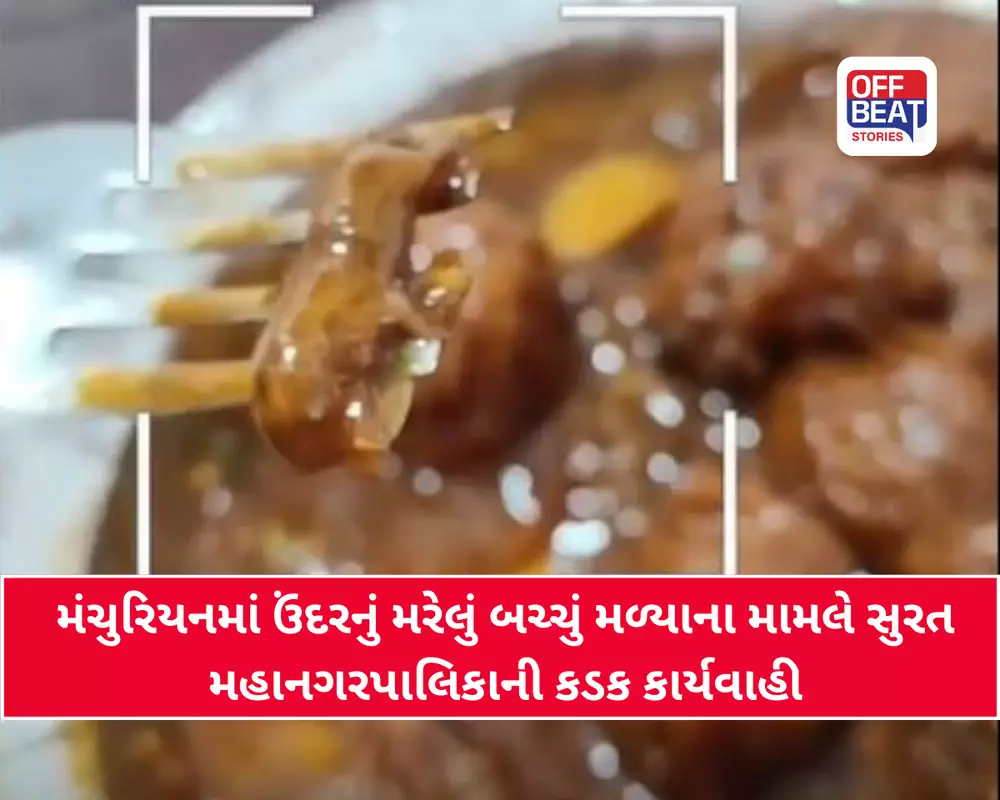 સુરતમાં ચાઇનીઝ લારીના મંચુરિયનમાંથી મરેલું ઉંદરનું બચ્ચું નીકળ્યું