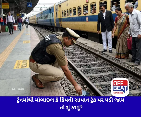 Indian Railways, Train Travel