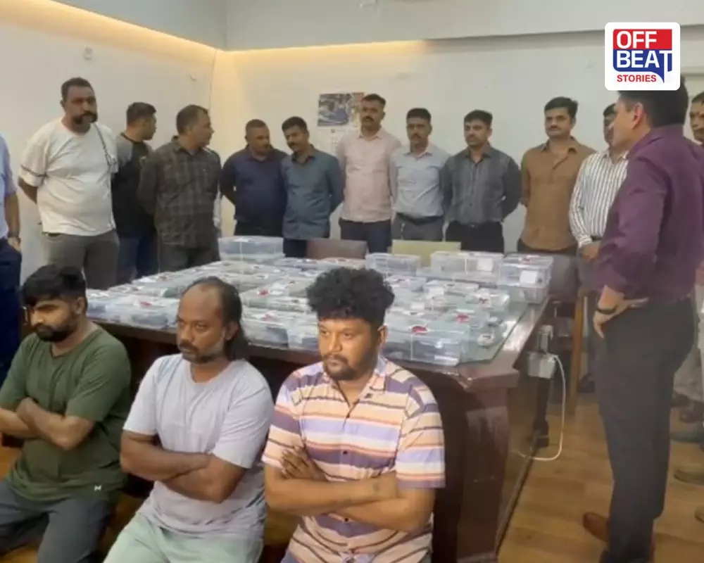 20 આરોપી, 38 હથિયાર અને 32 કારતૂસ...