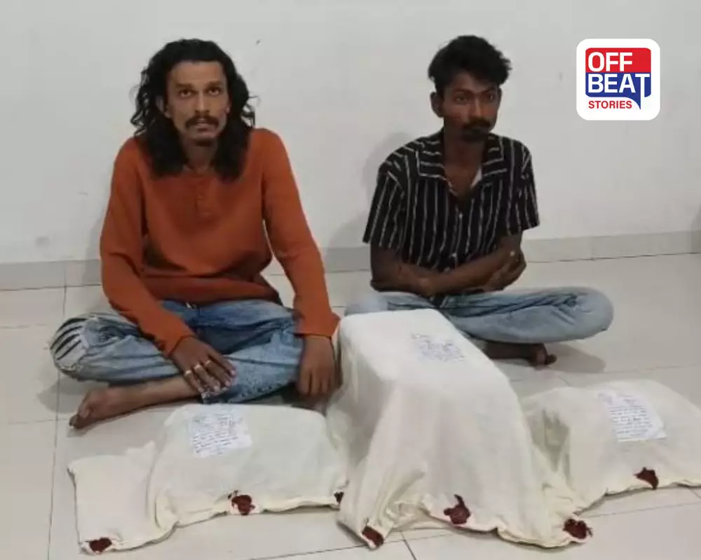 જુનાગઢ: ઓડિશાથી પોસ્ટ મારફતે મંગાવેલો 4 કિલોથી વધુ ગાંજો ઝડપાયો