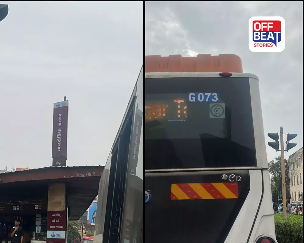 અમદાવાદ: આસ્ટોડિયામાં BRTS બસની અડફેટે રાહદારી