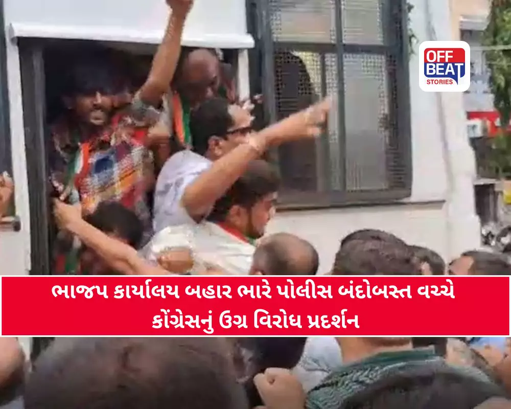 પૂતળા દહન બાદ અનેક કાર્યકરો ડિટેઇન