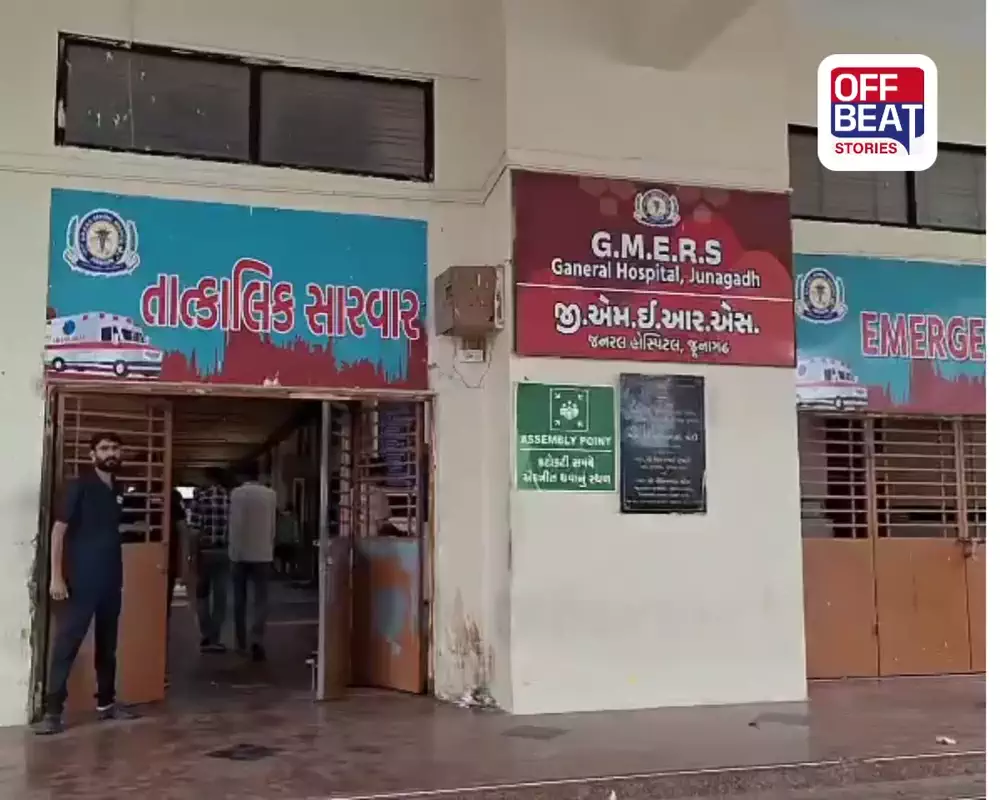 વિસાવદરના જાંબુડીમાં દીપડાનો સતત આતંક