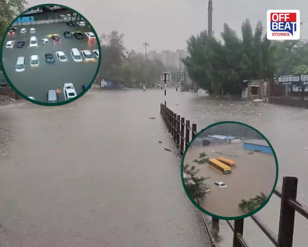 દક્ષિણ ગુજરાતમાં જોવા મળ્યું મેઘરાજાનું રૌદ્ર સ્વરૂપ