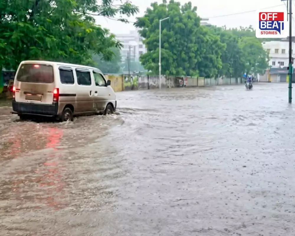 ભરૂચમાં મેઘરાજાનો કહેર