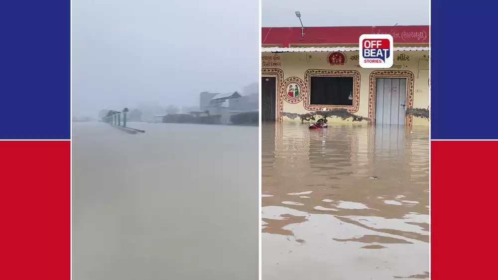 ગુજરાતમાં મેઘરાજાની ધમાકેદાર બેટિંગ