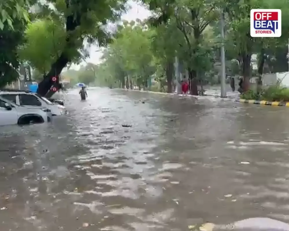 વરસાદી પાણી ભરાયા હોય તેવી છબી