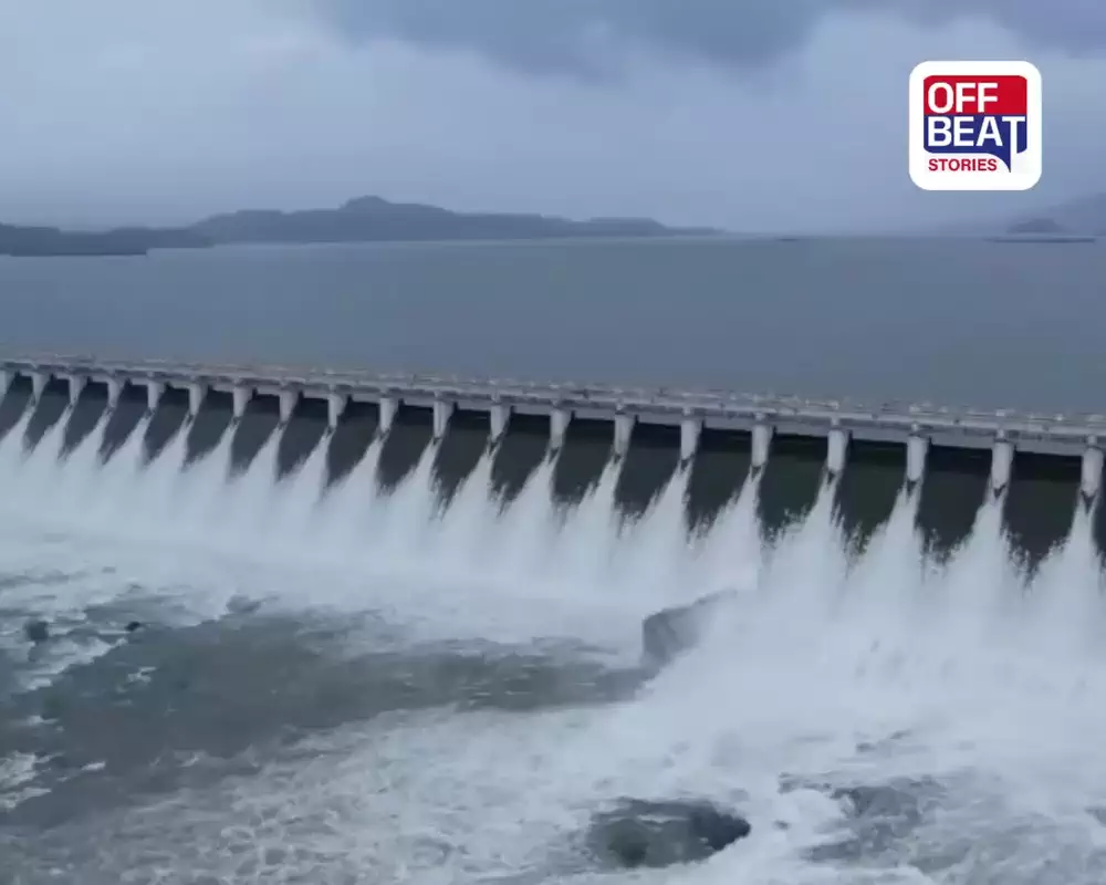 ભાવનગર: શેત્રુંજી ડેમમાં ફરી વધી પાણીની આવક
